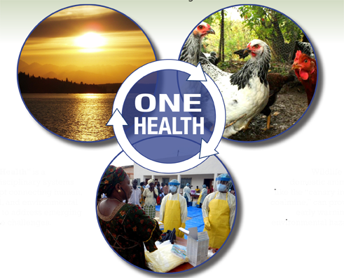 One_Health_sm