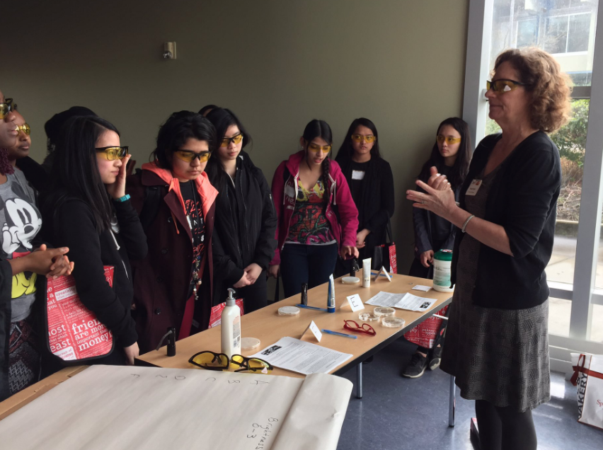 Screen Shot 2019-04-08 at 1.17.31 PM